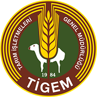 Referans Görseli